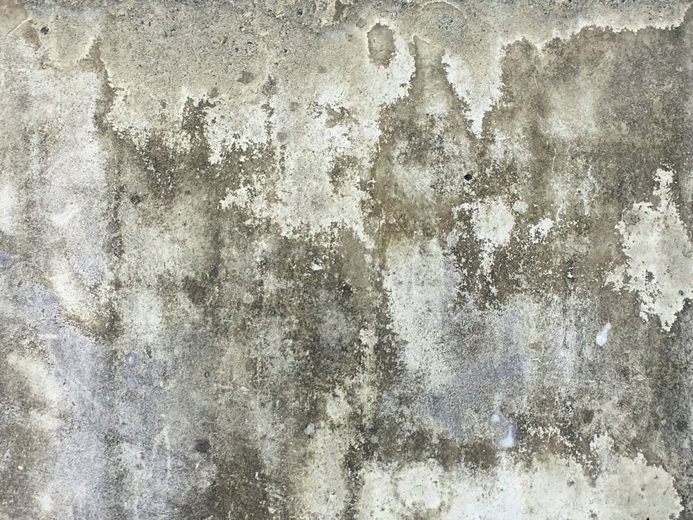 Foundation & Structural Damage